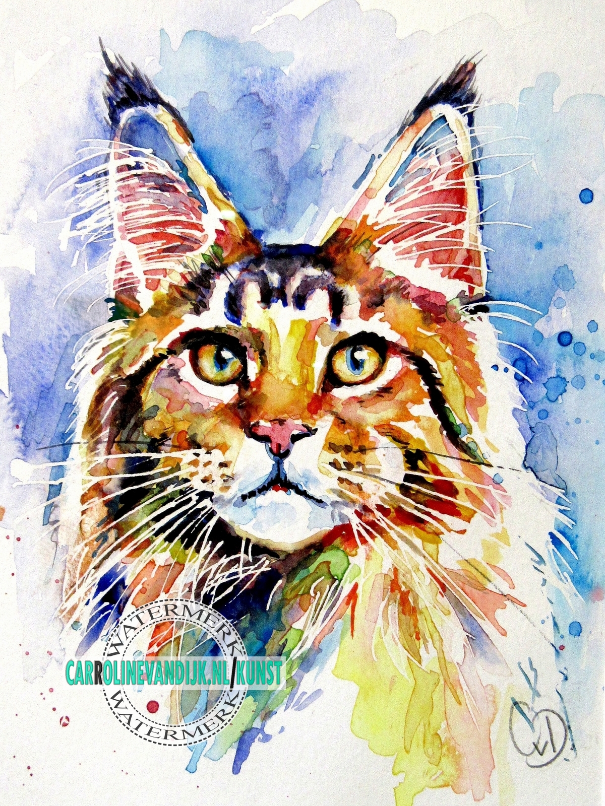 schilderij Maine Coon kat in inkt en aquarel